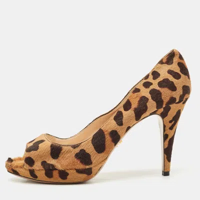 Pre-owned Prada Brown Leopard Print Calf Hair Peep Toe Platform Pumps Size 39
