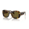 Prada Womens Yellow Pr A13s Butterfly-frame Acetate Sunglasses In Brown