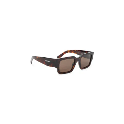 Prada Brown Symbole Acetate Sunglasses