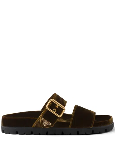Prada Buckled Velvet Sandals In Brown