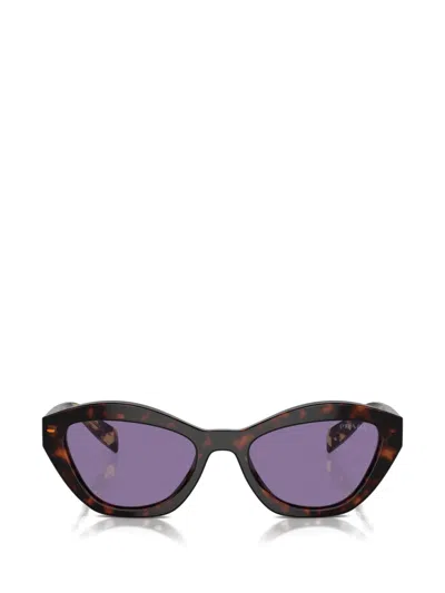 Prada Butterfly-frame Sunglasses In Brown