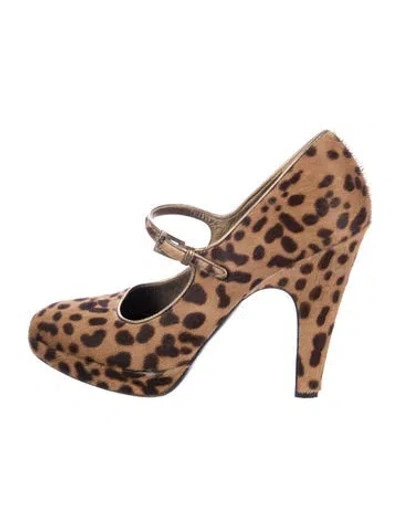 Pre-owned Prada Calf Hair Animal Print Pumps In Brown
