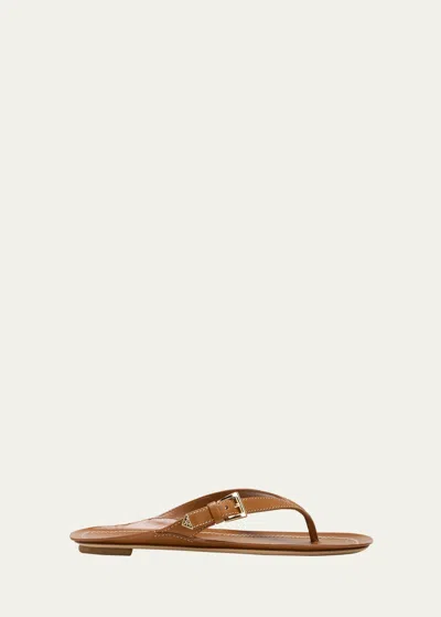 Prada Calfskin Buckle Flat Thong Sandals In Brown