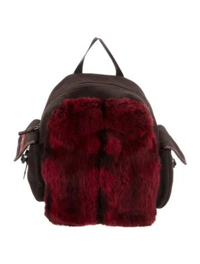 Pre-owned Prada Canvas Backpack In Brown