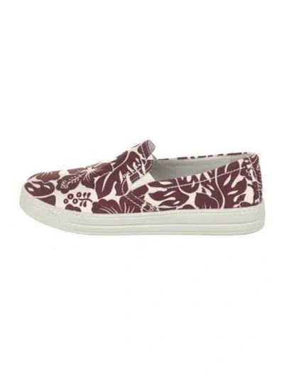 Pre-owned Prada Canvas Printed Sneakers In Burgundy