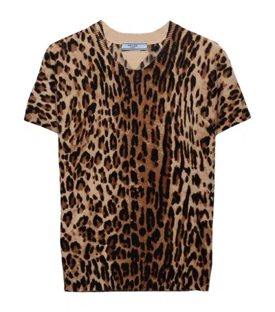 Prada Cashmere Leopard Print Sweater In Animal Print