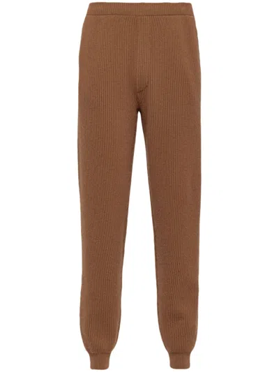 Prada Cashmere Tapered Track Pants In Brown