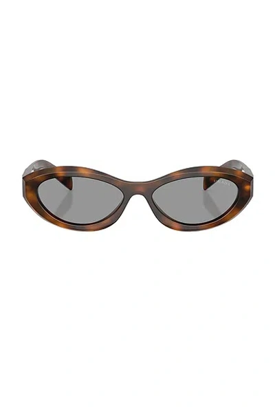 Prada Cat Eye Sunglasses In Brown