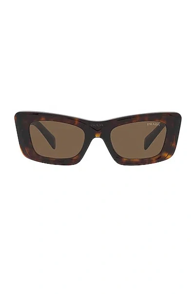 Prada Cat Eye Sunglasses In Brown