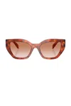 Prada Full Frame Sunglasses In Cognac Tort