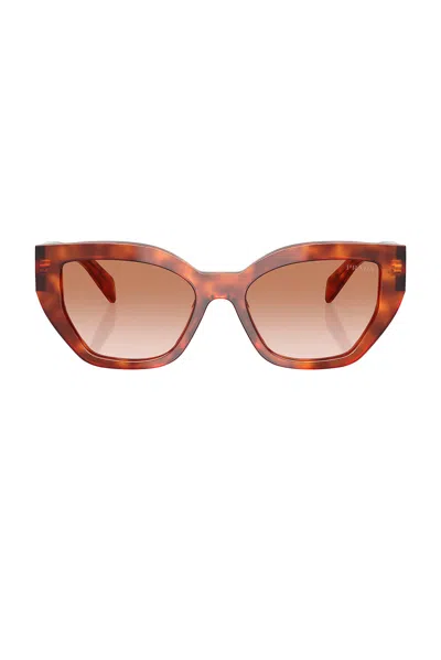PRADA CAT EYE SUNGLASSES