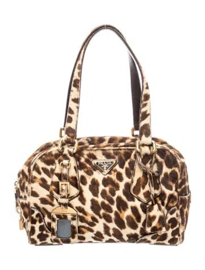 Pre-owned Prada Cavallino Shoulder Bag In Neutral
