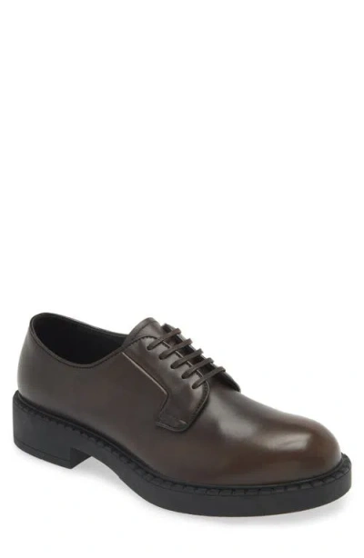 Prada Chocolate Derby In Moro | ModeSens