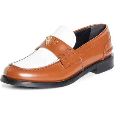 Prada Colorblock Loafer