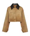 Prada Leather-collar Cropped Cotton Jacket In Brown