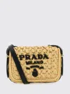 Prada Raffia Mini Crossbody Handbag In Multi
