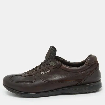 Pre-owned Prada Dark Brown Leather Low Top Sneakers Size 42