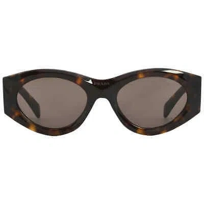 Pre-owned Prada Dark Brown Oval Ladies Sunglasses Pr 20zs 2au06b 53 Pr 20zs 2au06b 53