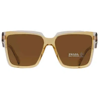 Pre-owned Prada Dark Brown Square Ladies Sunglasses Pr 24zs 14i01t 56 Pr 24zs 14i01t 56