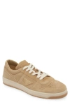 Prada Mens Neutral Downtown Logo-plaque Suede Low-top Trainers Eur 42 / 8 Uk In Ecru