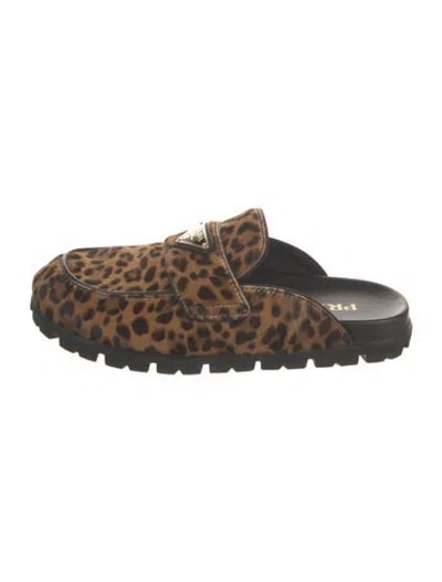Pre-owned Prada Enameled Metal Triangle Ponyhair Mules In Brown