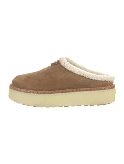 Pre-owned Prada Enameled Metal Triangle Suede Mules In Brown