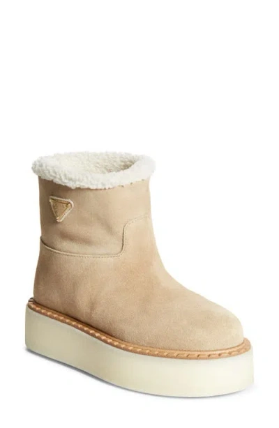 Prada Evolve Genuine Shearling Bootie In Ecru