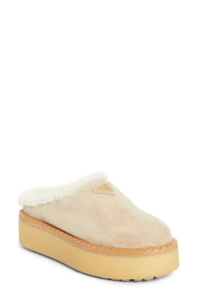 Prada Evolve Genuine Shearling Clog
