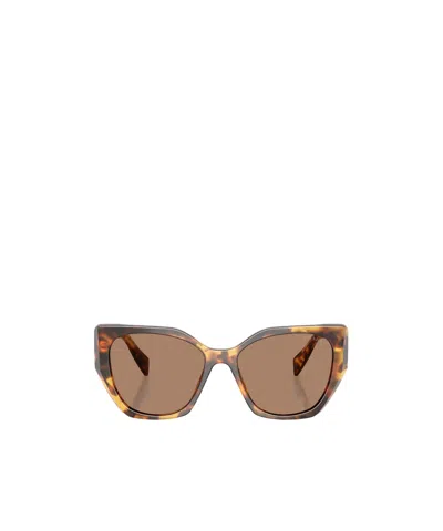 Prada Eyewear Butterfly Frame Sunglasses In Brown