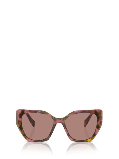 Prada Acetate Pr 19zs Sunglasses In Multi