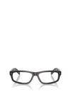 Prada Pr B02v 17n1o1 Root Havana Glasses In Brown