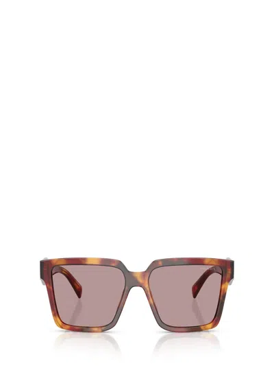 Prada Eyewear Sunglasses In Brown