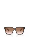 Prada Pr 24zs 23a0a6 56mm Womens Square Sunglasses In Brown