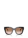 Prada Tortoiseshell Butterfly-frame Sunglasses In Brown