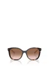 Prada Tortoiseshell-effect Square-frame Sunglasses In Brown