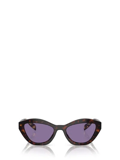 Prada Womens Brown Pr A02s Butterfly-frame Acetate Sunglasses In Black