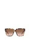 Prada 56mm Square Sunglasses In Caramel Tortoise