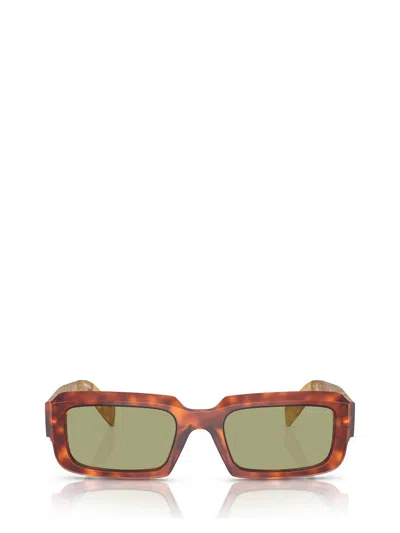 Prada Eyewear Sunglasses In Cognac Tortoise