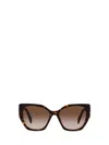 Prada Pr19zs Symbole 2au6s1 Havana Sunglasses In Multi