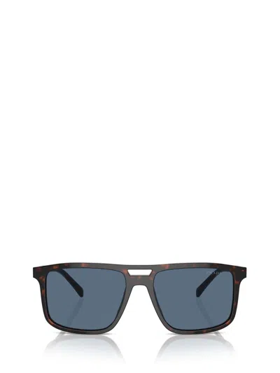 Prada Eyewear Sunglasses In Radica Tortoise