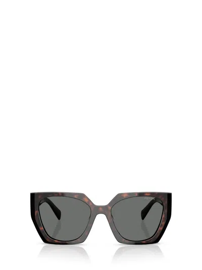 Prada Eyewear Sunglasses In Root / Black