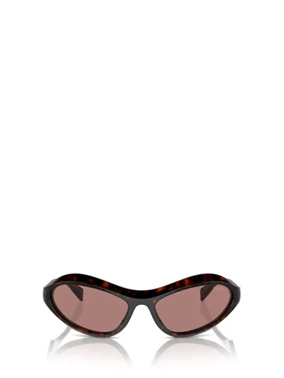 Prada Pr A20s Root Tortoise Sunglasses In Multi