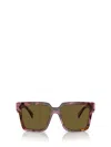 Prada Eyewear Square Frame Sunglasses In Tortoise Cognac Begonia