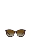 Prada Womens Brown Pr 22zs Square-frame Acetate Sunglasses In Tortoise