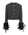 Prada Mat Feather-cuff Cropped Jacket With Crystal Buttons In Gray