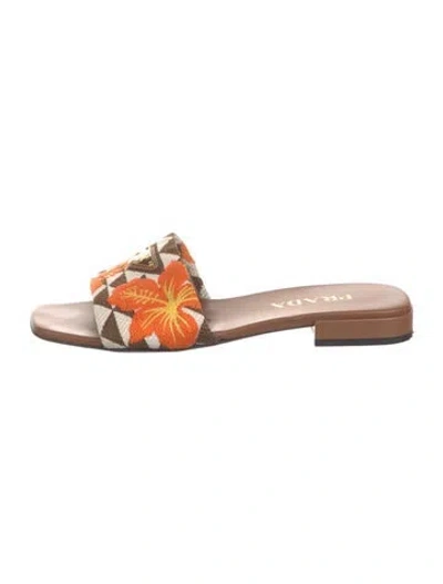 Pre-owned Prada Floral Print Slides In Brown