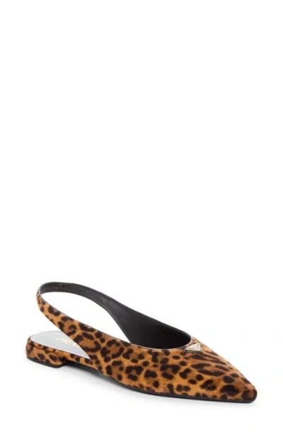 Prada Genuine Calf Hair Slingback Flat In Brown