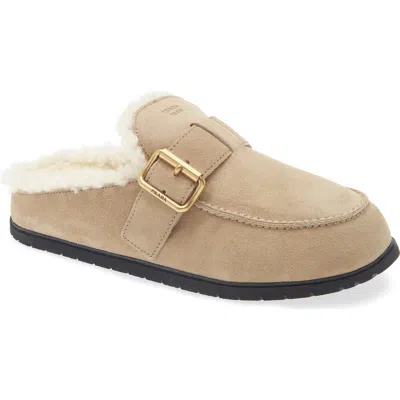 Prada Genuine Shearling Buckle Mule In Brown