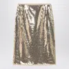 Prada Embroidered And Sequined Skirt