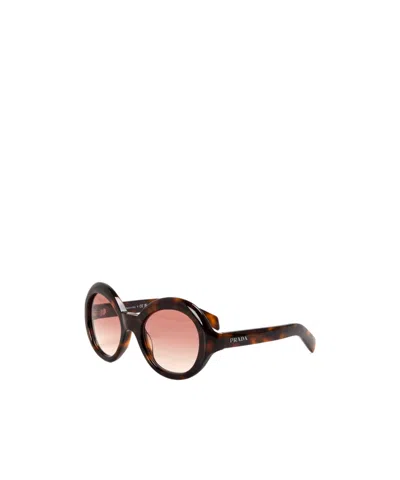 Prada Graduated Sunglasses In Brown